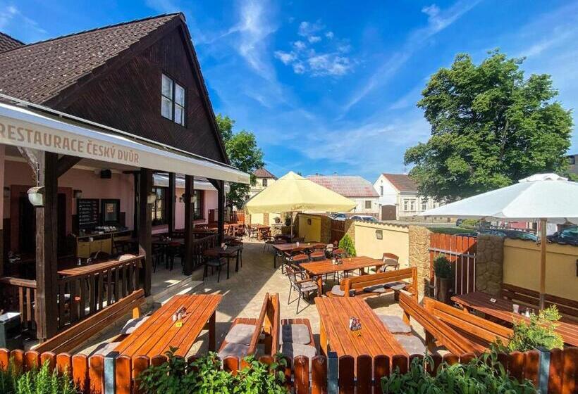 펜션 Penzion český Dvůr