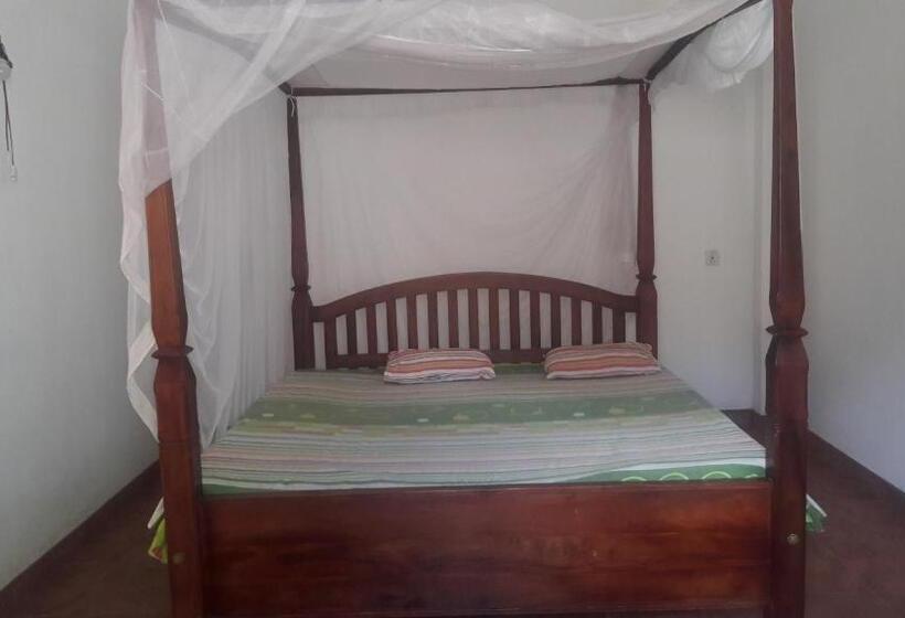 بنسيون The Citadel Guest House