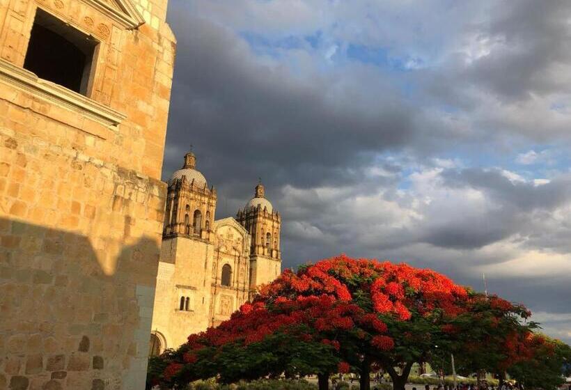 Suites Parador Santo Domingo De G