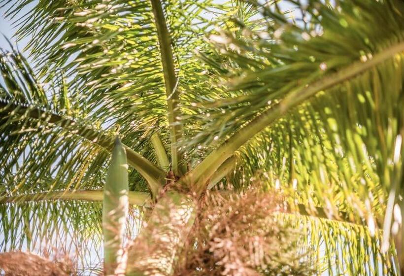 Suites Parador Santo Domingo De G