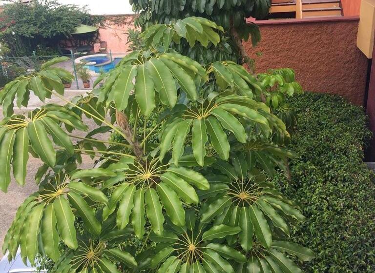 Suites Parador Santo Domingo De G