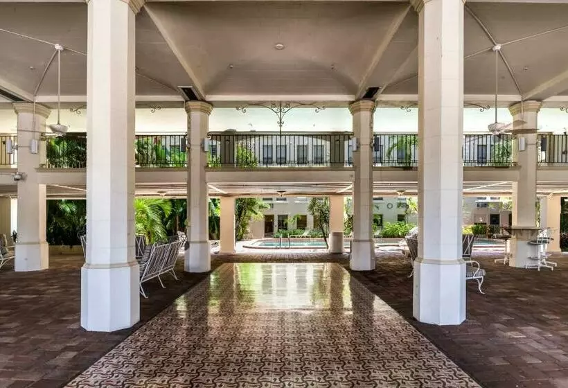 Tropicals Of Palm Beach