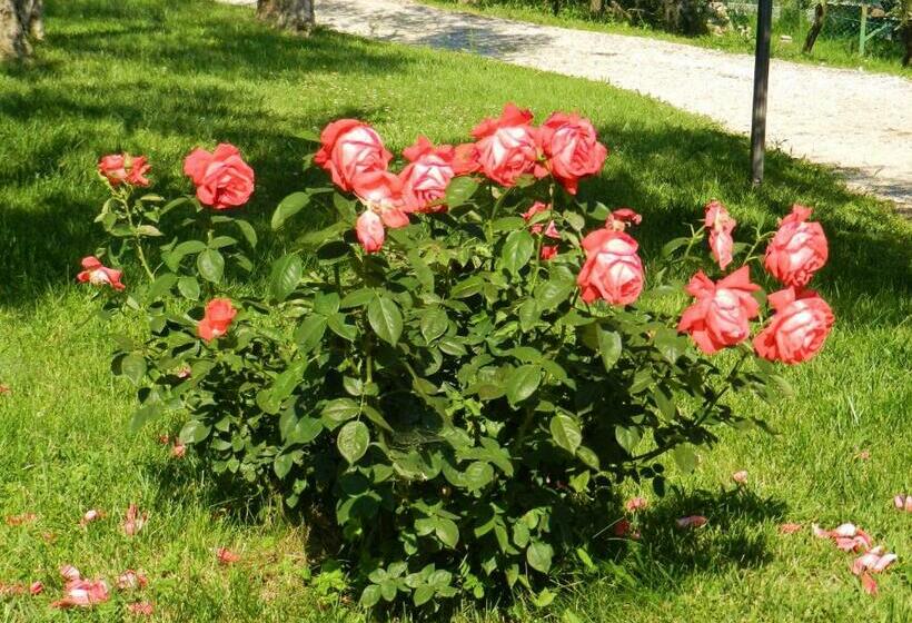ホテル Agriturismo La Rocca Assisi