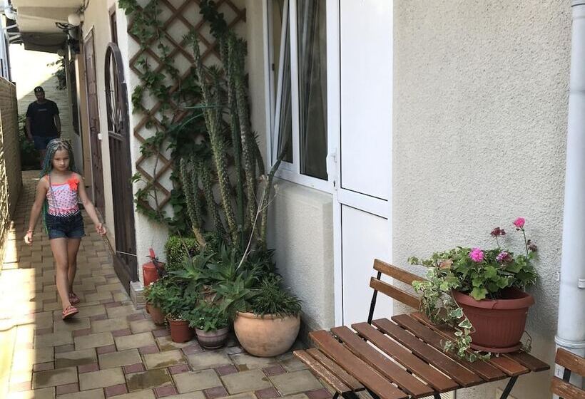 بنسيون Alyans Guest House