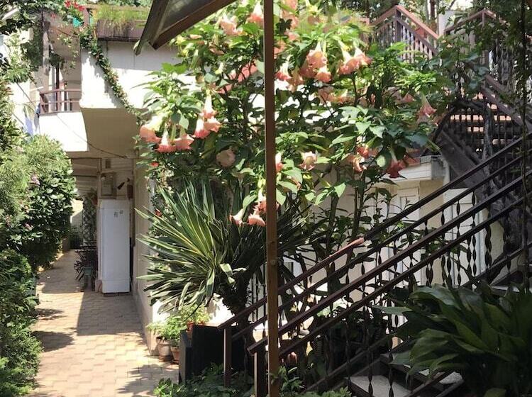 بنسيون Alyans Guest House