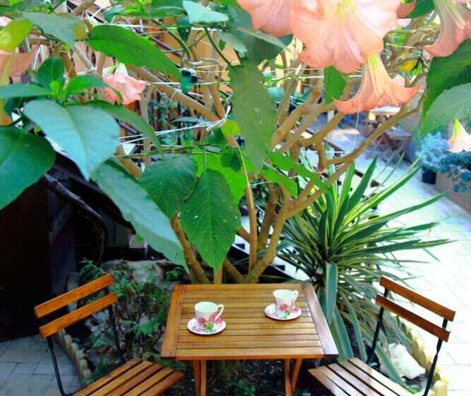 بنسيون Alyans Guest House