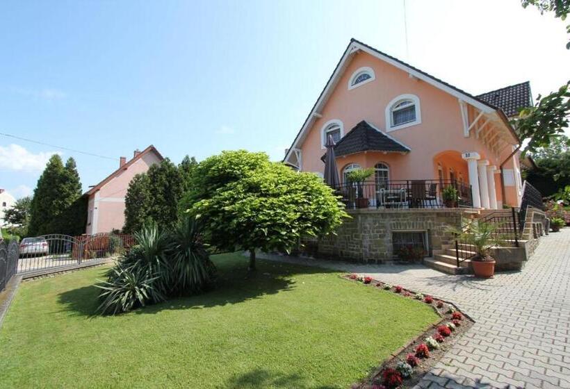 Pensjonat Barackvirág Vendégház