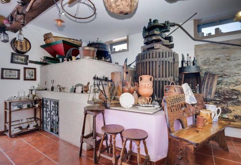 פנסיון Casa De Coelhosa