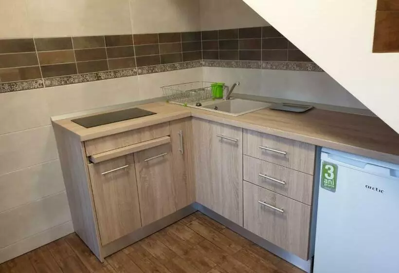 ペンション Casa Enescu