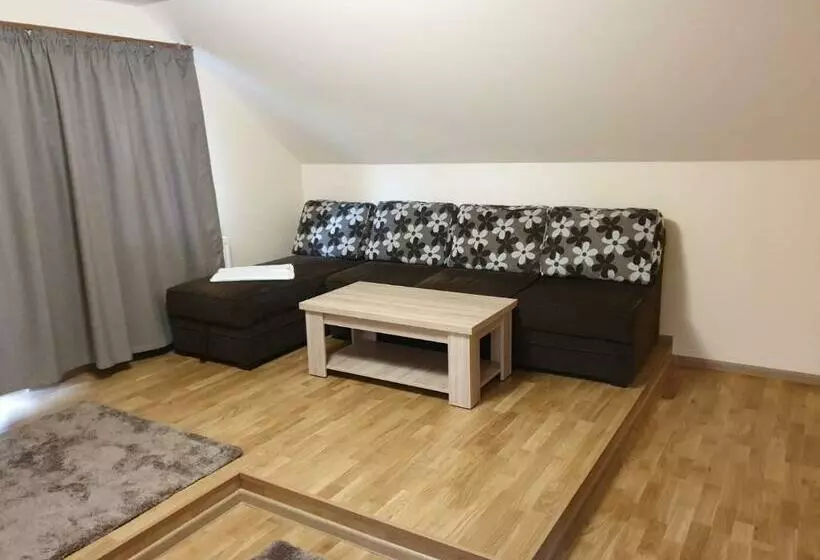 ペンション Casa Enescu