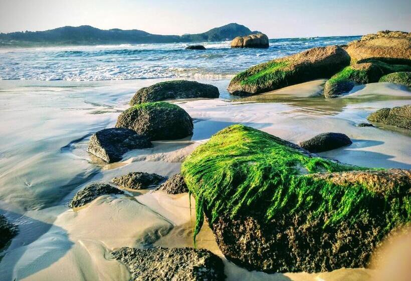 پانسیون Morada Crisálida