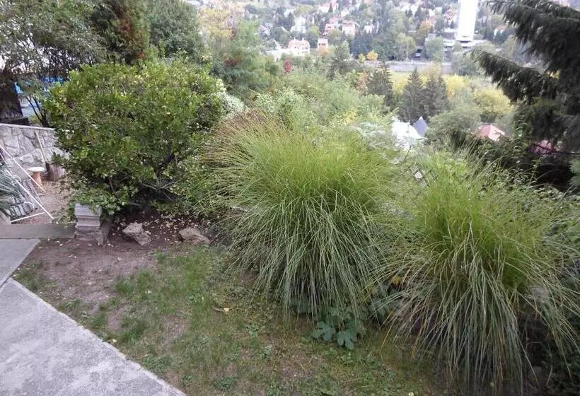 Majatalo Panoráma Szállás