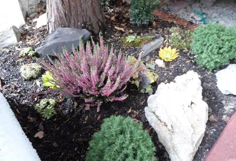 Majatalo Panoráma Szállás