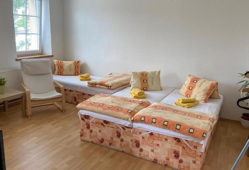 膳宿费 Penzion Bamako