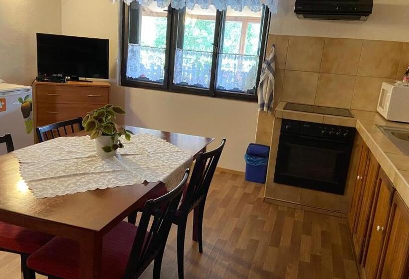 膳宿费 Penzion Bamako