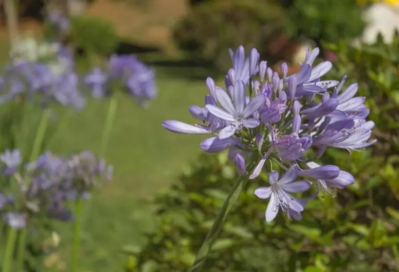 Majatalo Pousada Refúgio Das Aves