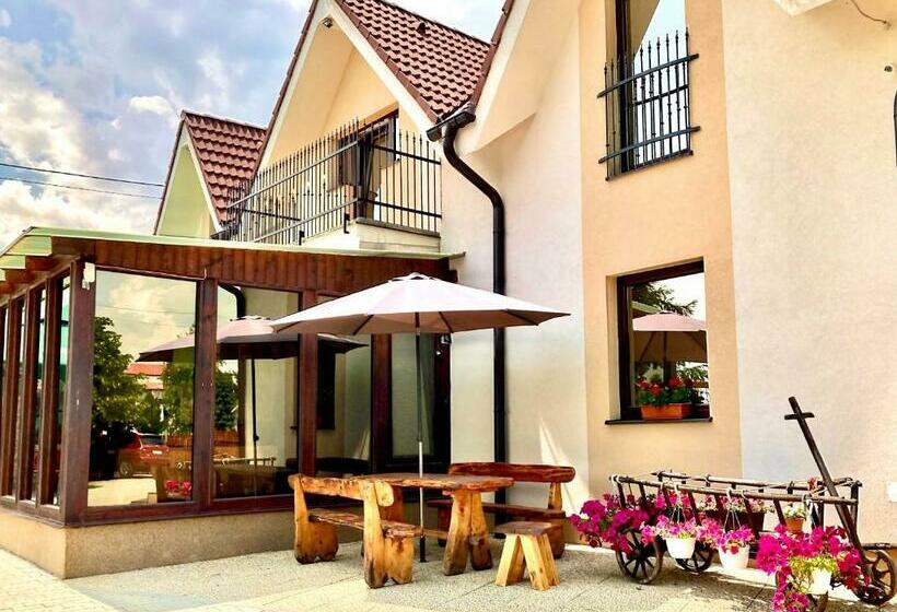 פנסיון Vila Lesana