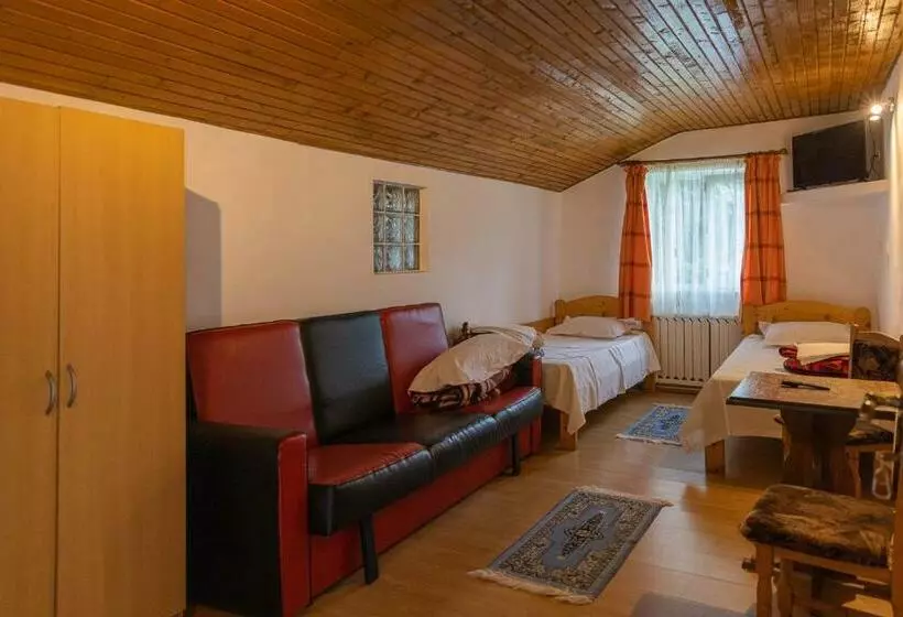 Pensiunea Montan Busteni