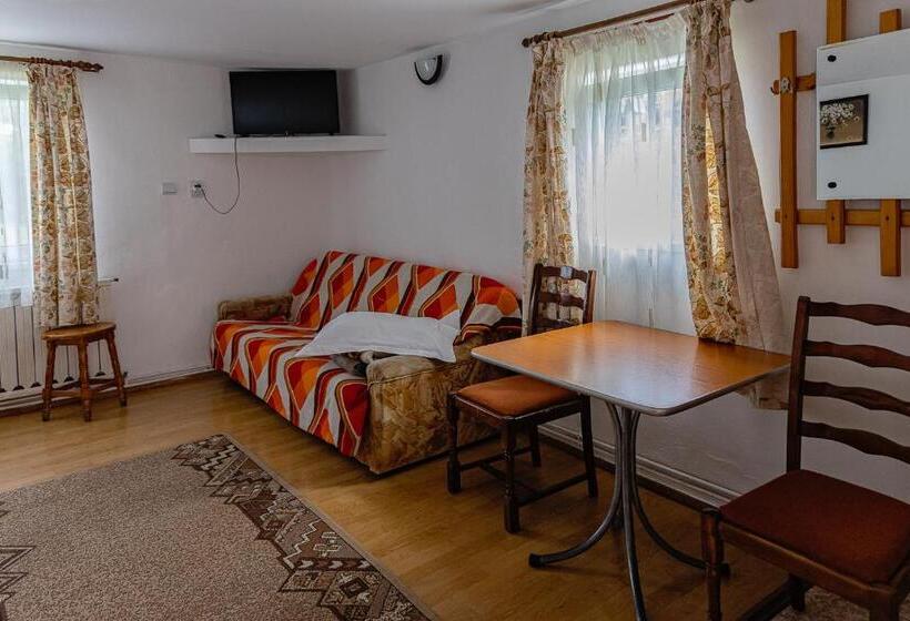 Pensiunea Montan Busteni