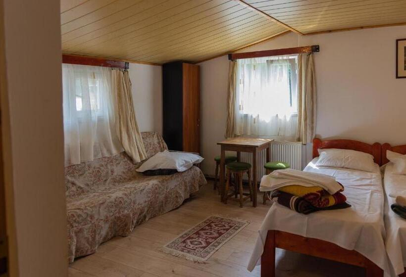 Pensiunea Montan Busteni