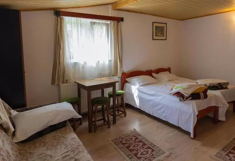 Pensiunea Montan Busteni