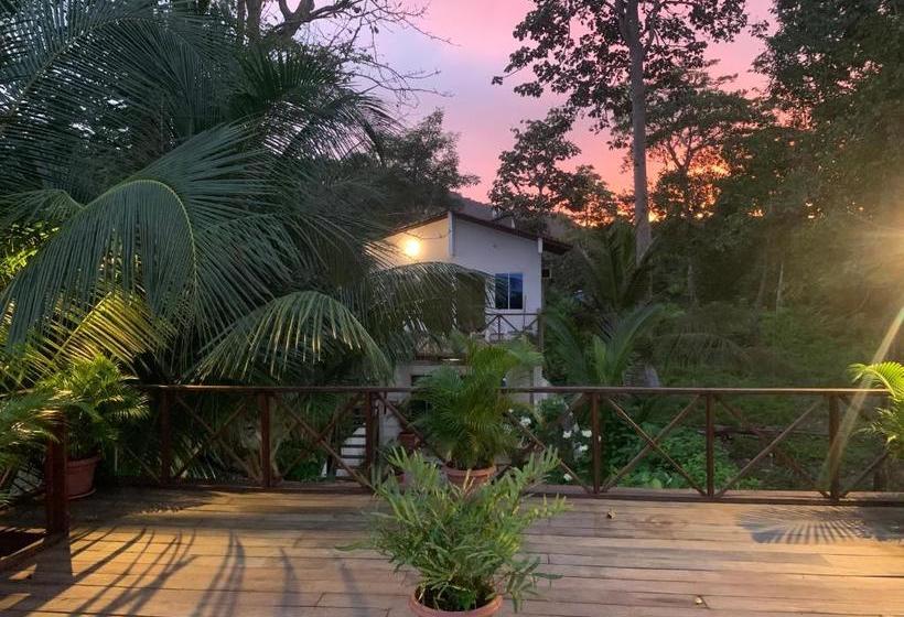 Hostel Hostal Hilltop Capurgana