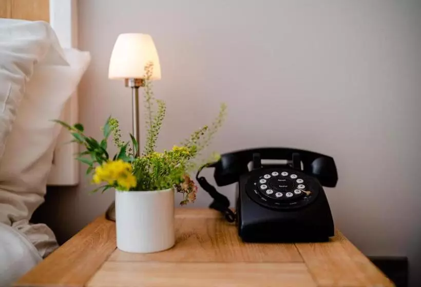 Retkeilymaja The Golden Lion, Newport, Pembrokeshire