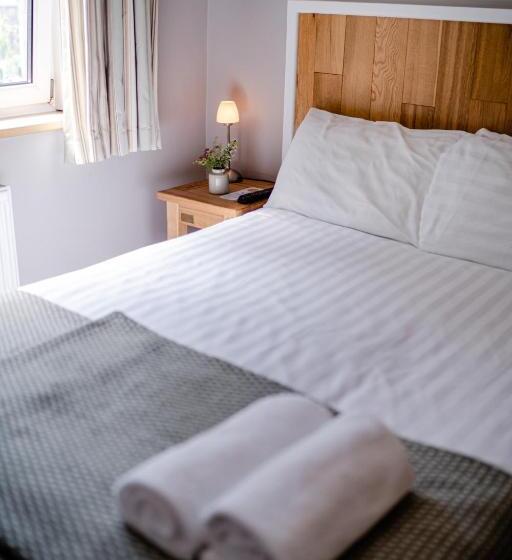 فندق صغير The Golden Lion, Newport, Pembrokeshire