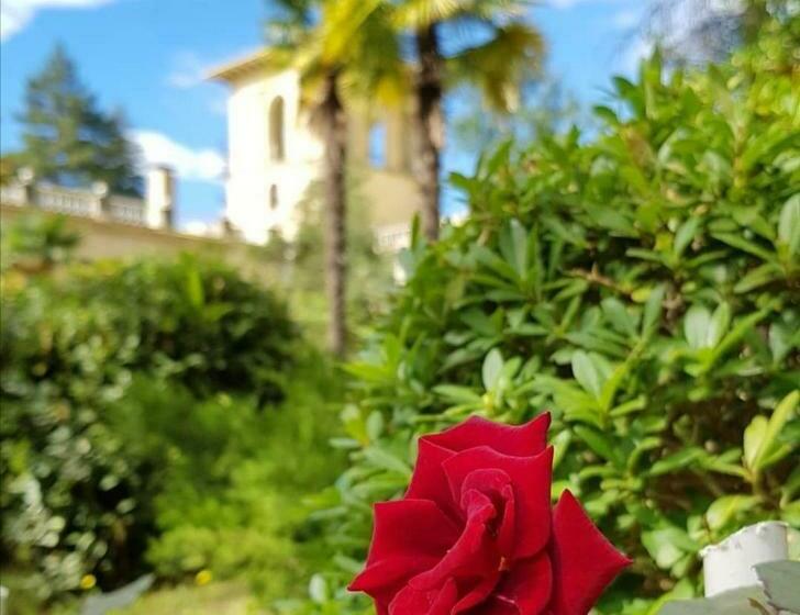 Amra Park Hotel & Spa