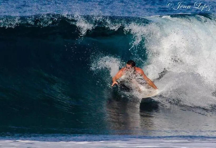 Aamiaismajoitus (B&B) Vida Hermosa