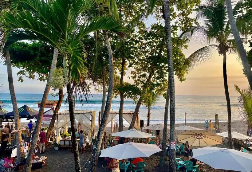 Aamiaismajoitus (B&B) Vida Hermosa