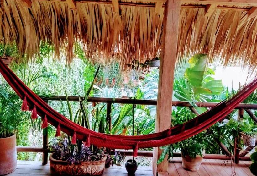 בית מלון כפרי Casa Mixteca