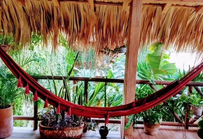 Hotelli Casa Mixteca