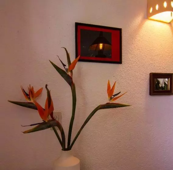 Hotelli Casa Mixteca