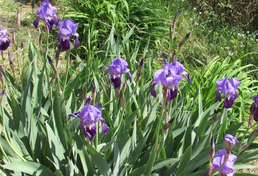 B&b Cascina Ciapilau