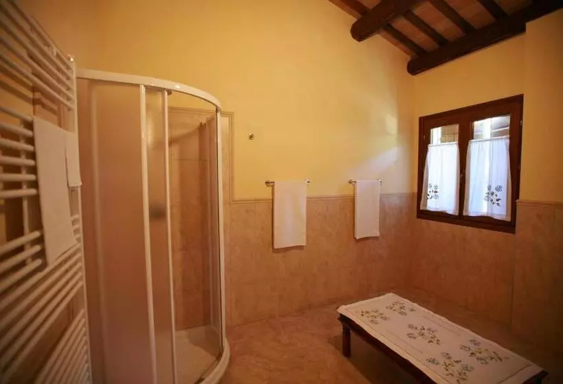 B&b Contarine
