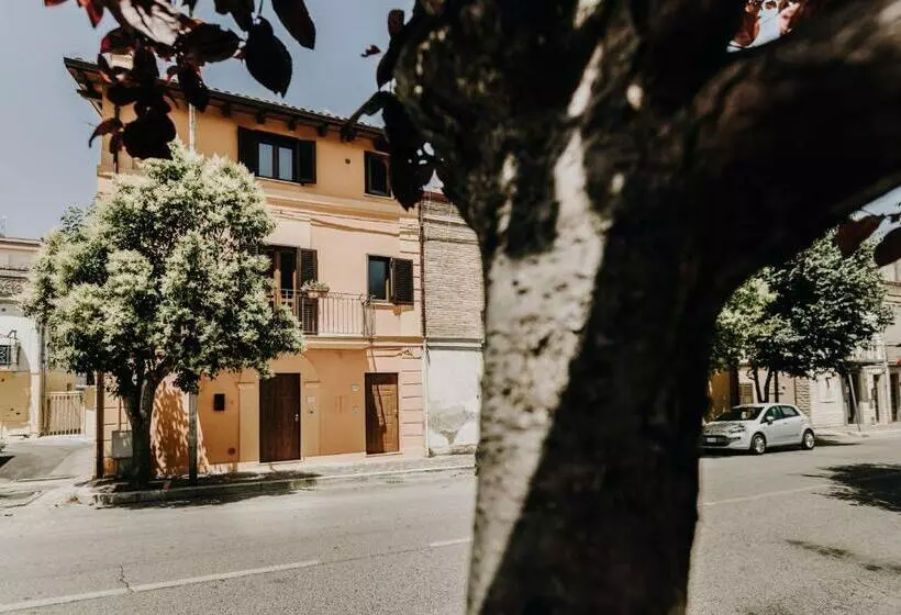 B&b La Cicala
