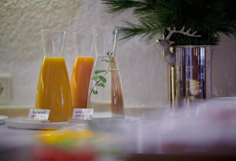 צימר Garni Schneider