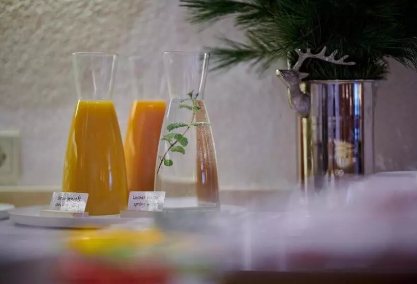 ベッドアンドブレックファースト Garni Schneider