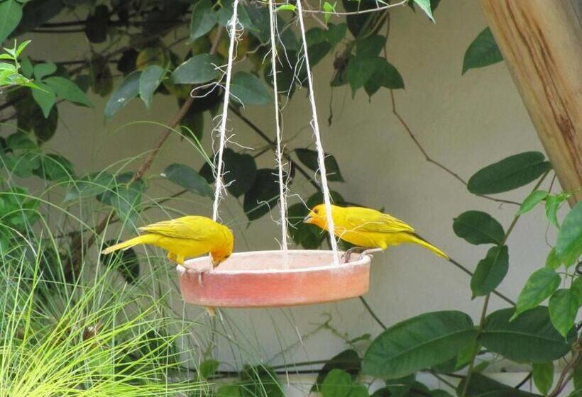 تختخواب و صبحانه La Casa De Hercilia Boutique