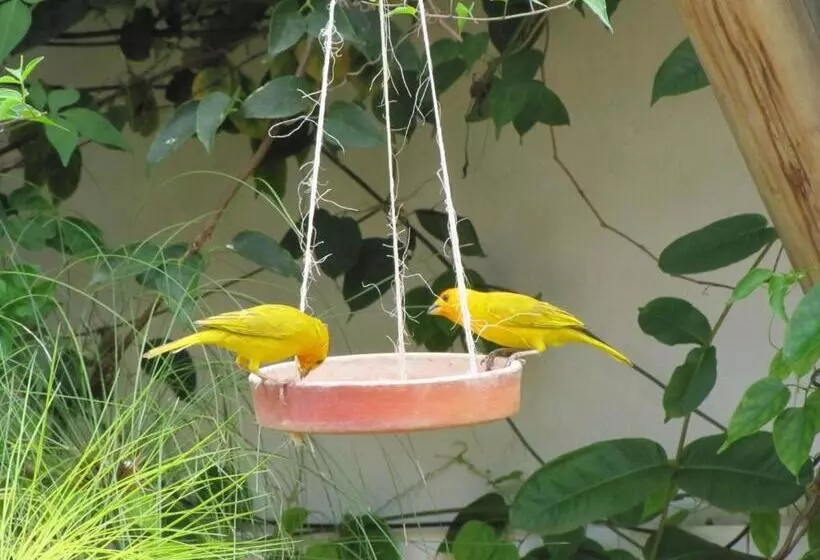 ベッドアンドブレックファースト La Casa De Hercilia Boutique