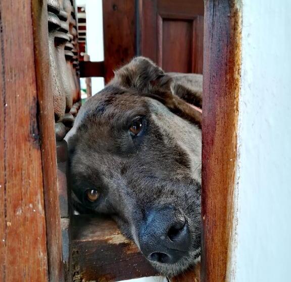 تختخواب و صبحانه La Casa De Hercilia Boutique