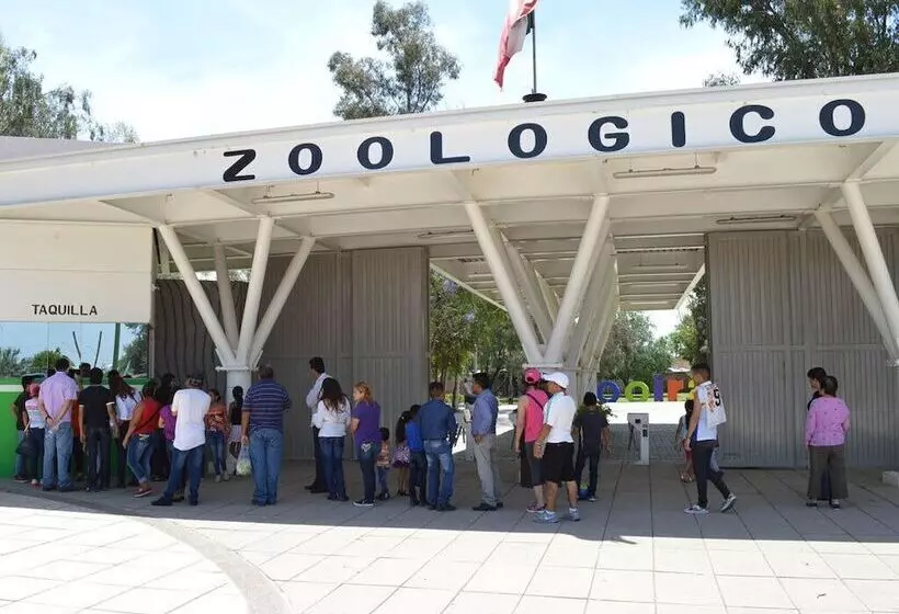 Hotelli Flamingo Kristal