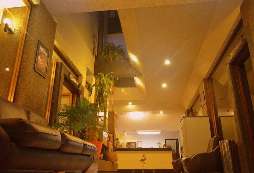 هتل Flamingo Kristal