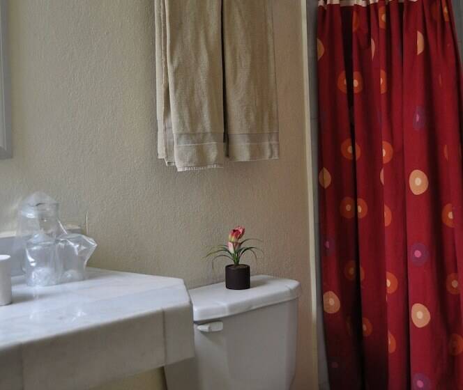 هتل Flamingo Kristal