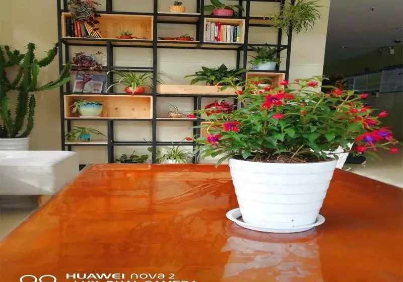 ホテル Greentree Inn Shandong Rizhao University City Express