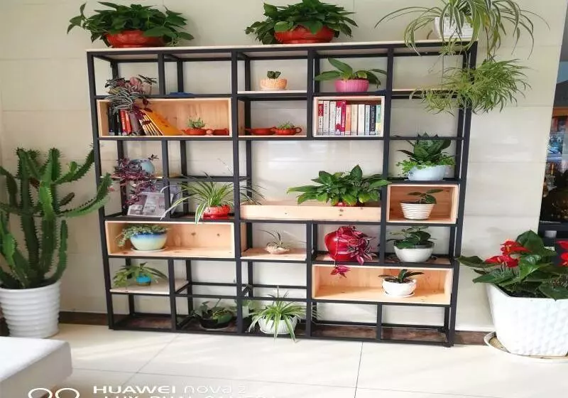 ホテル Greentree Inn Shandong Rizhao University City Express