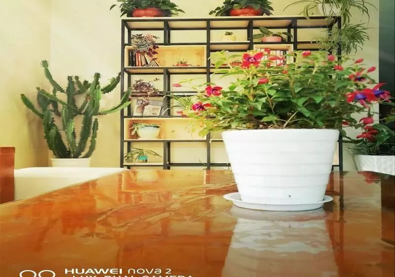 ホテル Greentree Inn Shandong Rizhao University City Express