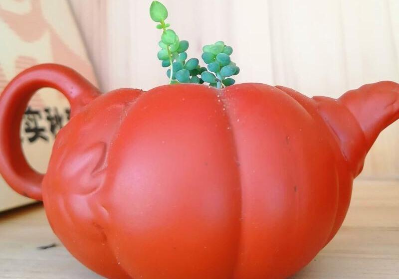 فندق Greentree Inn Shandong Rizhao University City Express