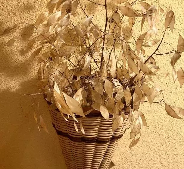 ホテル Châlet Du Lac